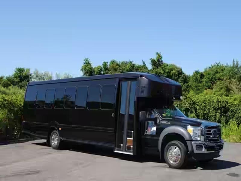 Luxury Mini Coach service