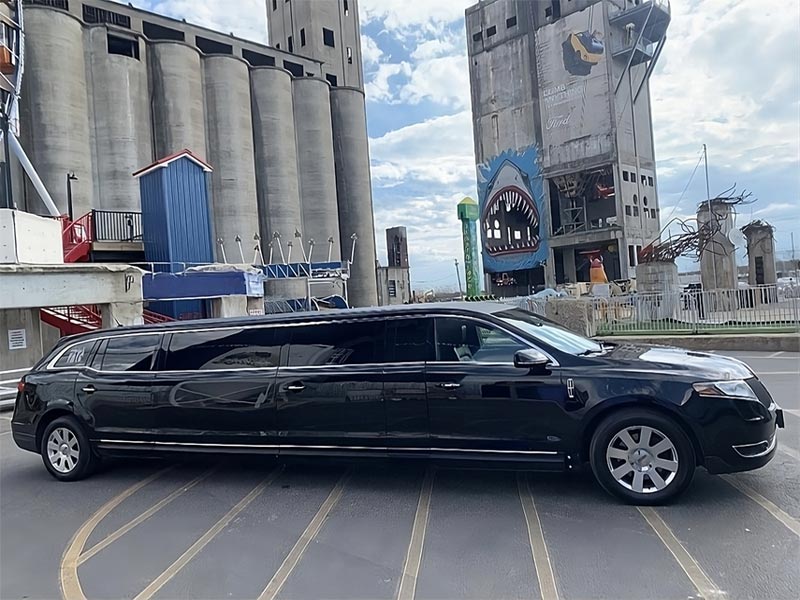 Premium Stretch Limo